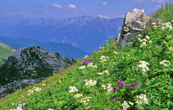 Пейзажи Абхазии