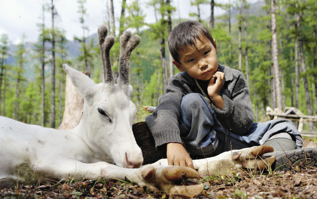 Нивхи – еще один из малых народов России. Олени для нивхов – домашний скот и часть культуры. Восточная Сибирь