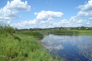 На протяжении реки Луга есть как запрещенные, так и разрешенные для купания места. // foto-planeta.com