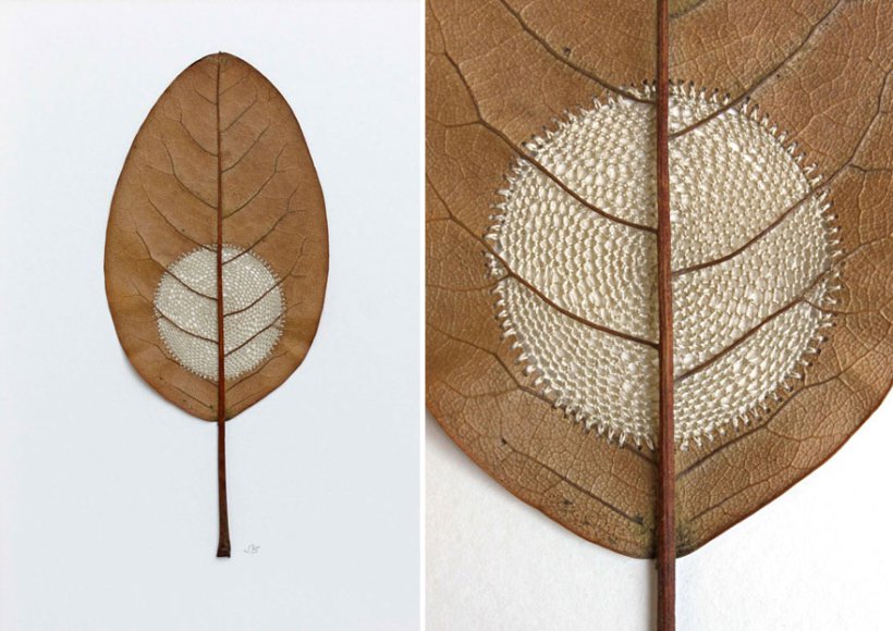 Удивительные шедевры из сухой листвы от Сюзанны Бауэр (Фоторепортаж)