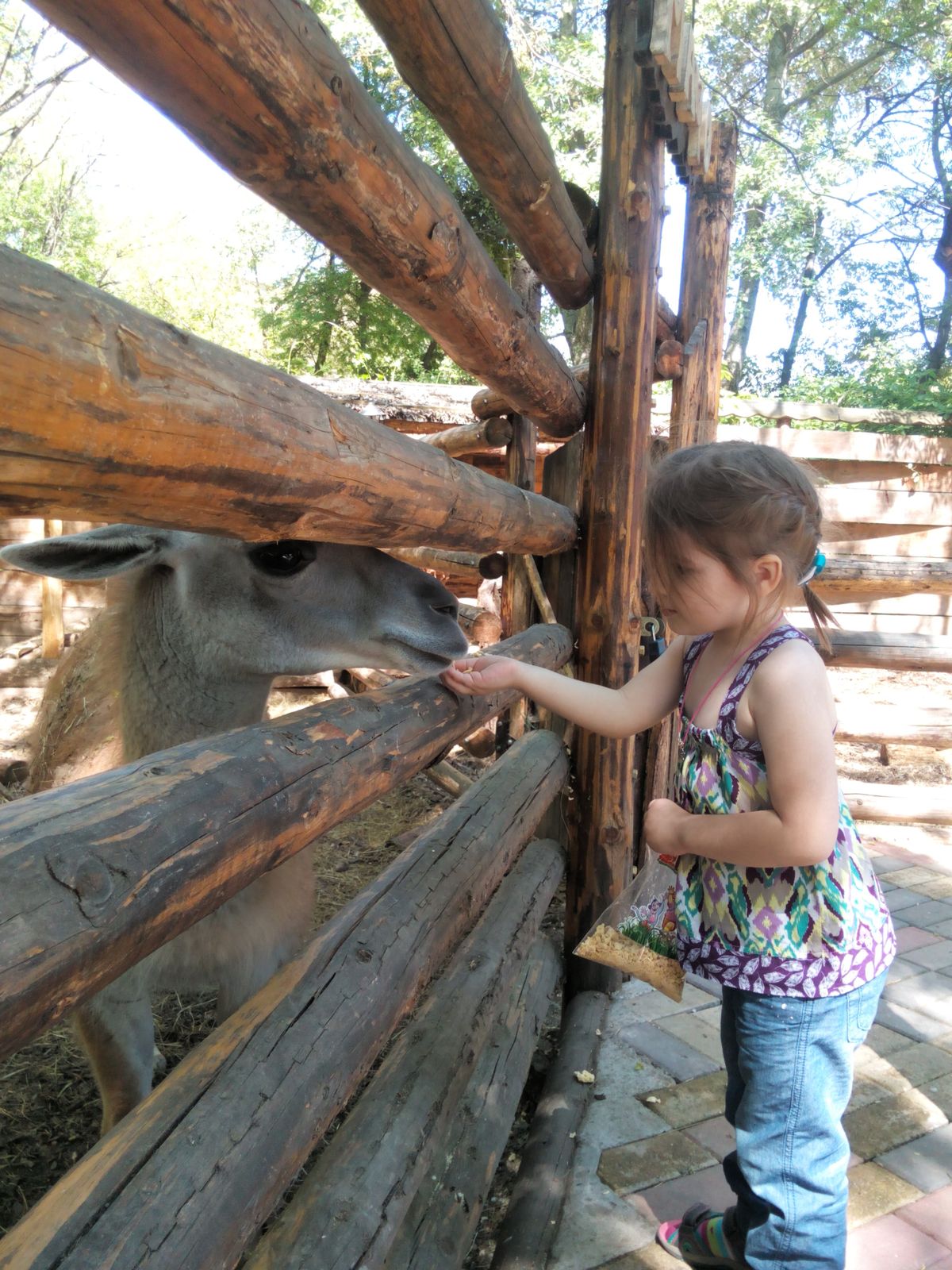 В Пятигорском зоопарке снова появится Альпака