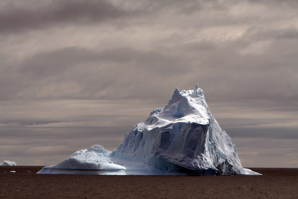 Путешествие в Антарктику (Фоторепортаж)