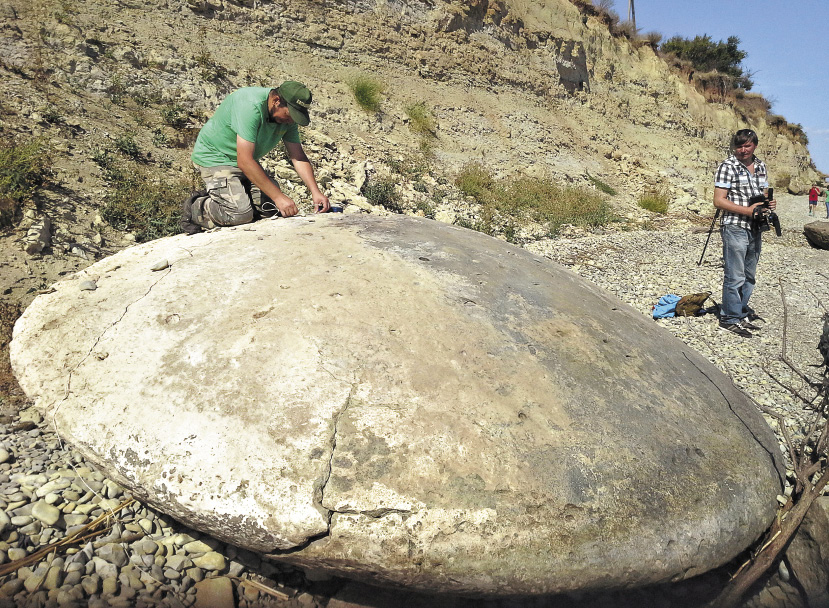 Загадочные каменные диски найдены летом 2015-го на Медведицкой гряде.Скорее всего они изготовлены древними людьми.