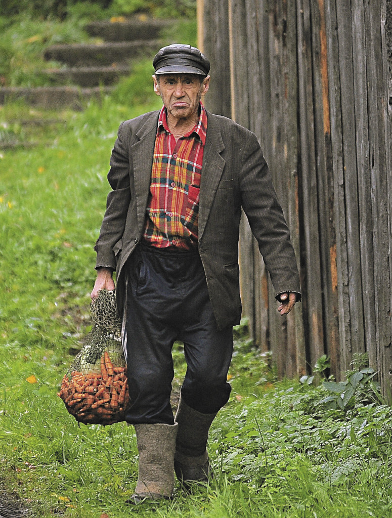 Суровый, но добродушный житель города спешит домой с урожаем морковки в незатейливой авоське. Ивановская область