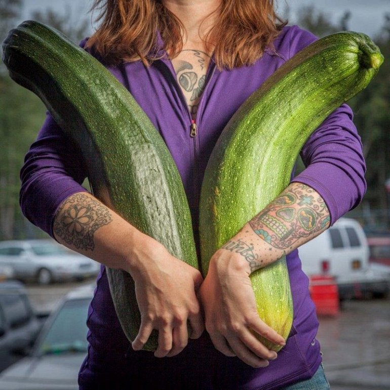 Почему на Аляске растут овощи-гиганты?