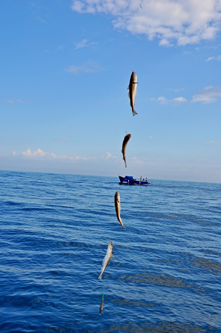 Крым. Ода осенней рыбалке