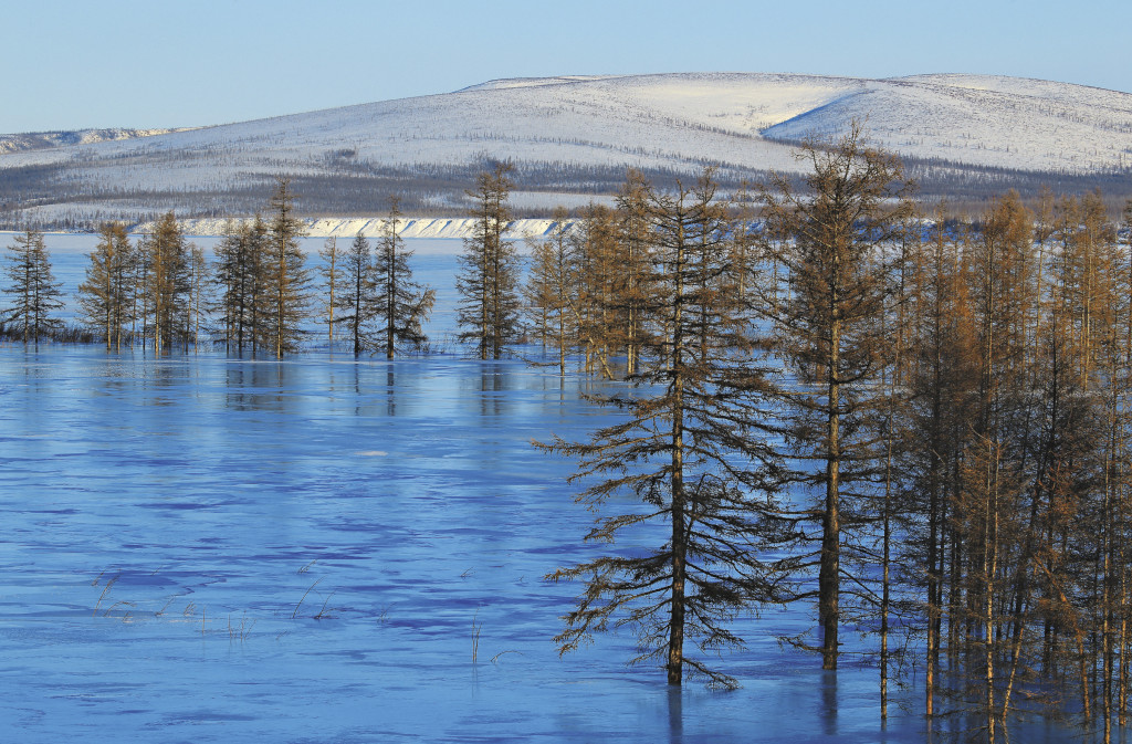 Большая Момская наледь – одна из крупнейших в мире – образуется в зимние месяцы на реке Моме, большом правом притоке Индигирки. Наледи в Якутии не редкость, но эта поражает своими размерами.