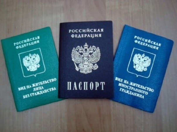 В нынешнем году Россию посетит на 6% больше иностранных граждан 