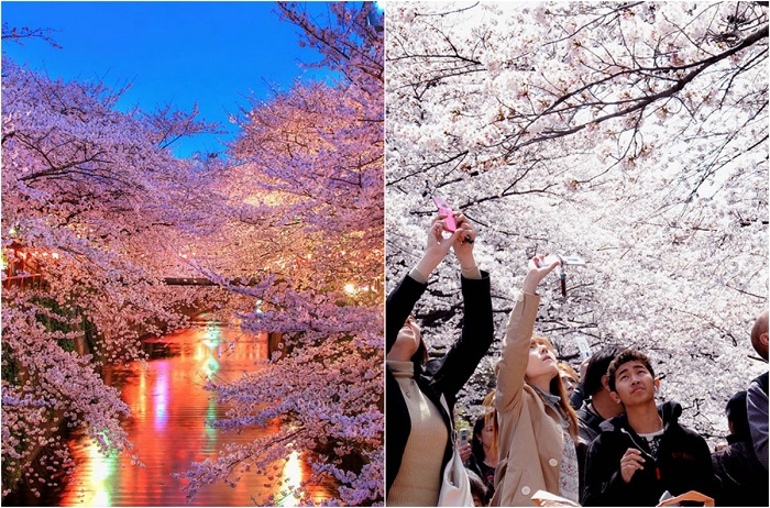 Один из древнейших обрядов японцев, который привлекает туристов со всего мира.