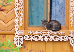 Рейс из Дубая в Екатеринбург задержан на 13 часов