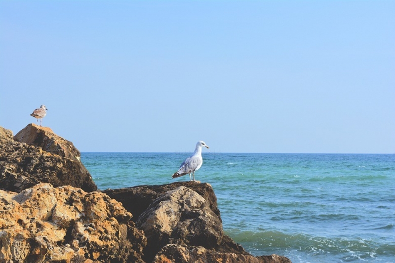Сегодня отмечается Международный день Чёрного моря. В связи с этим эксперты по туризму составляют рейтинги стран — курортов черноморского побережья. Так, список из пяти лучших опубликовал портал SM-News.