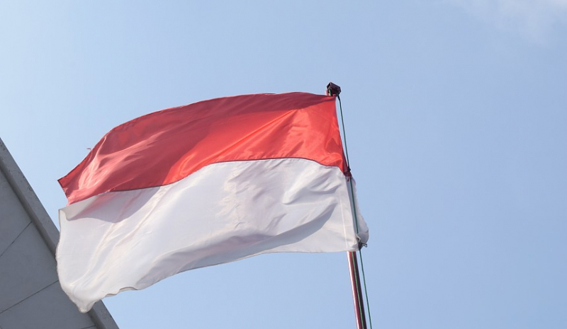 Посольство: Индонезия готовится открыть прямой рейс Джакарта – Владивосток
