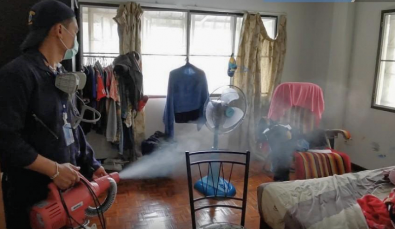 В Таиланде лихорадка денге подобралась к курортам