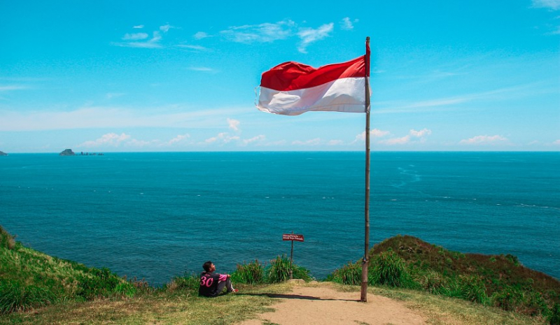 Минюст: туристы все чаще встречают мошенников при оформлении виз в Индонезию