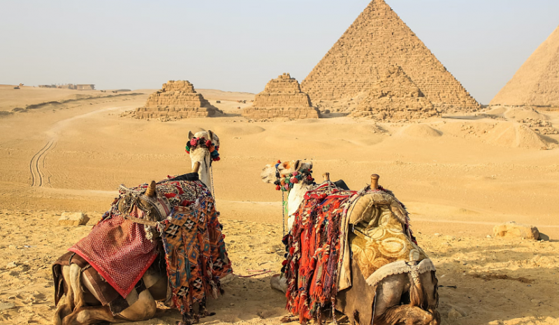 Рейсы в Египет в зимнем сезоне: какие планы у туроператоров
