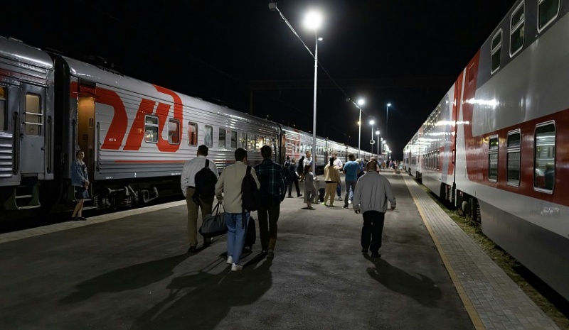 Туристку с питомцем ночью не посадили в поезд из-за отсутствия бумажных билетов