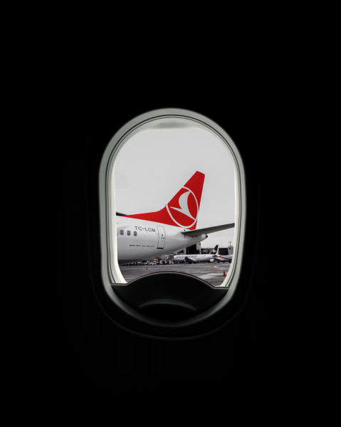 Специалист оценил перспективы судов с Turkish Airlines по отказам в перелетах в Латинскую Америку