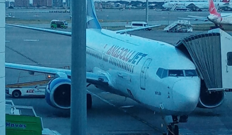 Туристам напомнили, как отличить рейсы AnadoluJet от Turkish Airlines
