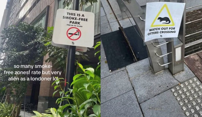 В Сингапуре туристку потрясло количество запрещений на улицах
