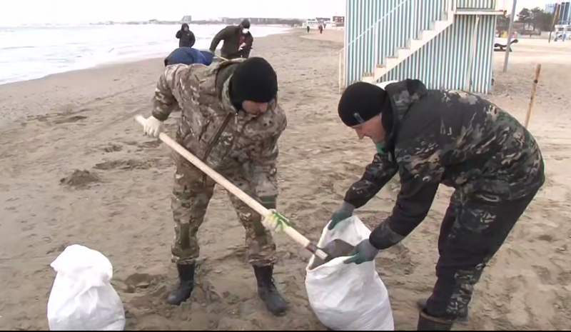 Штормовое море в Анапе выбросило новую порцию мазута и перепачканных птиц